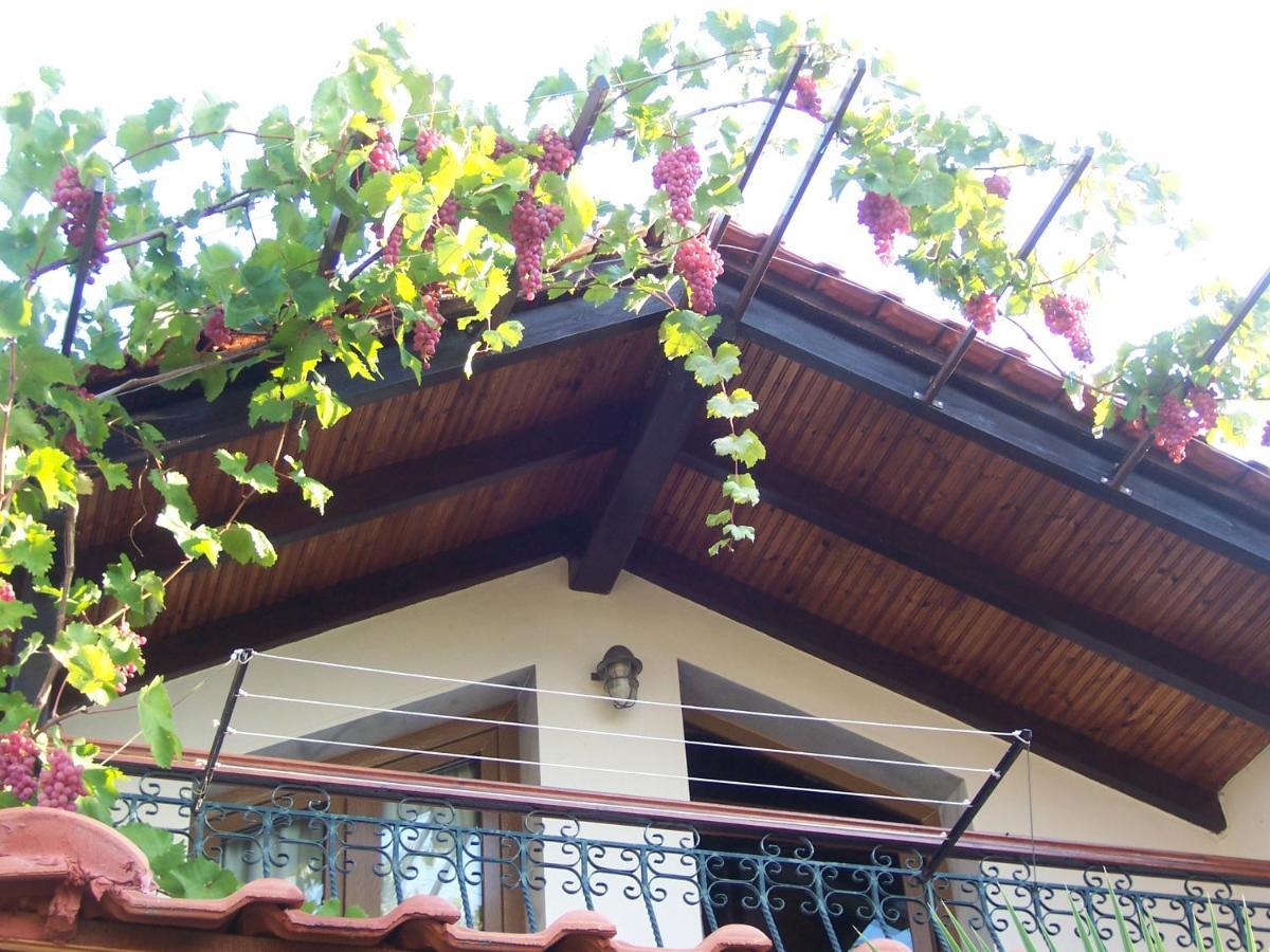 Sirines Studios Prínos Dış mekan fotoğraf