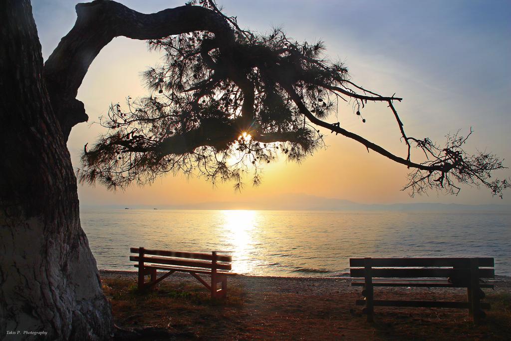 Sirines Studios Prínos Dış mekan fotoğraf